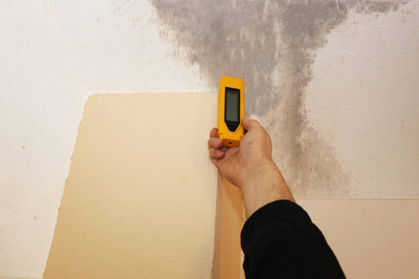 Best Air Quality Testing for Mold Spores  in Heritage Village, CT