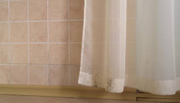 Best Mold Removal for HVAC Installations  in Heritage Village, CT
