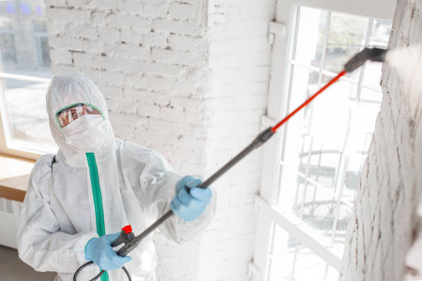 Best Mold Remediation for Healthcare Facilities  in Heritage Village, CT