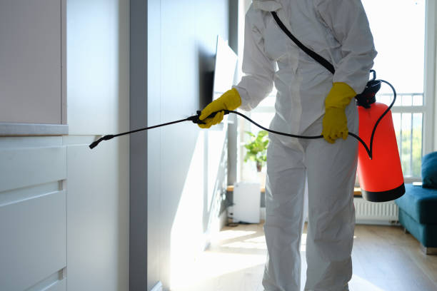 Best Commercial Mold Inspection  in Heritage Village, CT