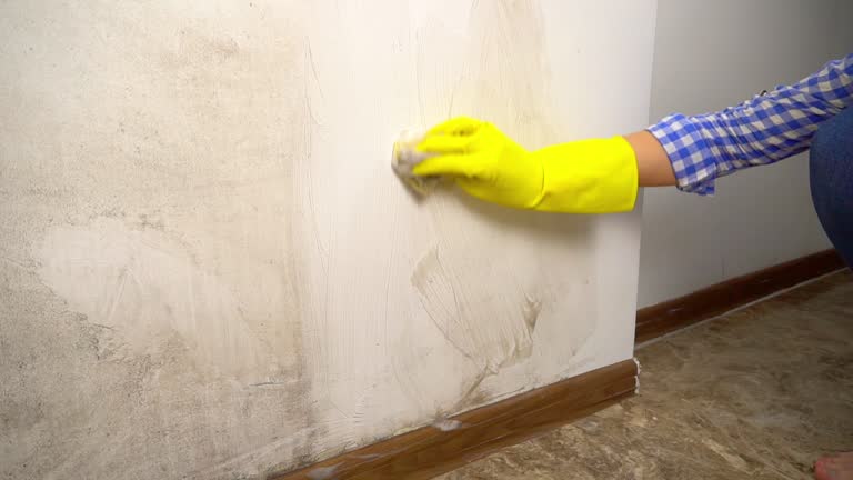 Best Post-Construction Mold Inspection  in Heritage Village, CT
