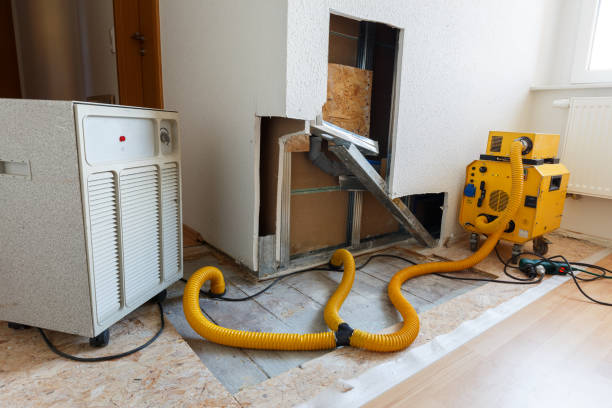 Best Water Damage & Mold Remediation  in Heritage Village, CT