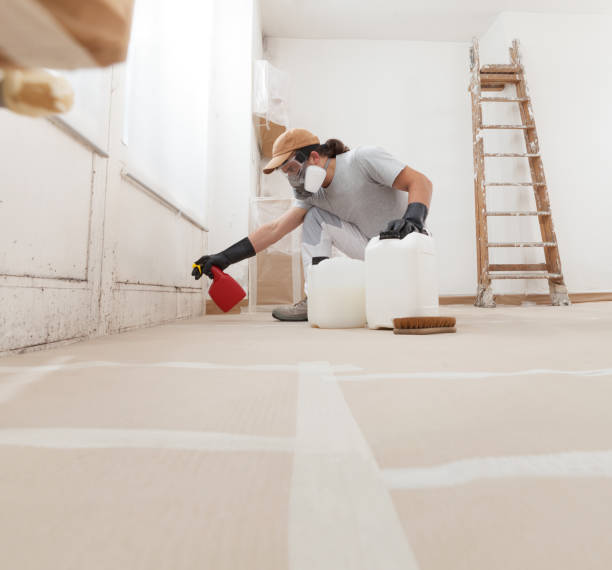 Best Black Mold Removal  in Heritage Village, CT